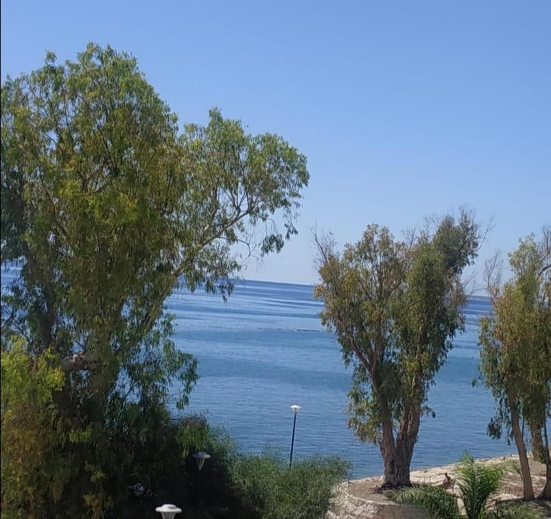 Galatex Μaisonette Apartment Limassol Ngoại thất bức ảnh